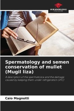 Spermatology and semen conservation of mullet (Mugil liza) - Magnotti, Caio