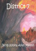 District 7 (eBook, ePUB) District 7 (eBook, ePUB)