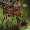 Mosquito (Re-Issue 2024) - Bild 1