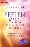 Seelenweg - Folge deinem göttlichen Plan (eBook, ePUB)