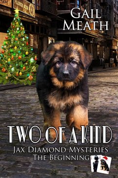 Cover Two of a Kind - The Beginning (Jax Diamond Mysteries, #4) (eBook, ePUB)