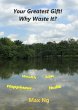 Your Greatest Gift! Why Waste It?... - Bild 1