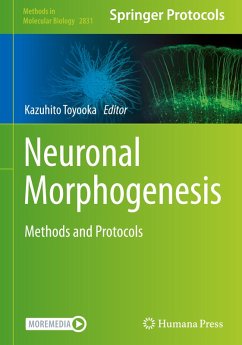 Cover Neuronal Morphogenesis