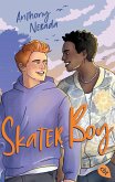 Skater Boy (eBook, ePUB)