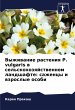 Vyzhiwanie rasteniq P. vulgaris w... - Bild 1