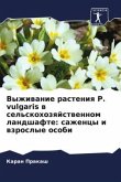 Vyzhiwanie rasteniq P. vulgaris w sel'skohozqjstwennom landshafte: sazhency i wzroslye osobi