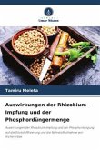 Auswirkungen der Rhizobium-Impfung und der Phosphordüngermenge