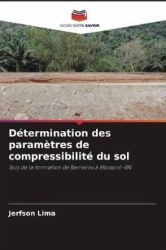 Détermination des paramètres de compressibilité du sol - Lima, Jerfson