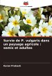 Survie de P. vulgaris dans un paysage... - Bild 1