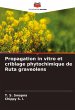 Propagation in vitro et criblage... - Bild 1
