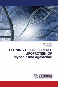 CLONING OF P80 SURFACE LIPOPROTEIN OF Mycoplasma agalactiae - Kashoo, Zahid;Singh, V.P