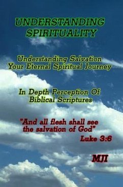 Cover Understanding Spirituality (eBook, ePUB)