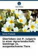 Überleben von P. vulgaris in einer... - Bild 1