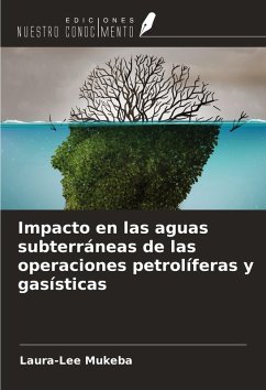 Cover Impacto en las aguas subterráneas de las operaciones petrolíferas y gasísticas