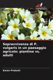 Sopravvivenza di P. vulgaris in un paesaggio agricolo: piantine vs. adulti