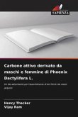 Carbone attivo derivato da maschi e femmine di Phoenix Dactylifera L.