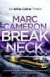 Breakneck (eBook, ePUB) - Bild 1