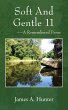 Soft And Gentle 11 (eBook, ePUB) - Bild 1