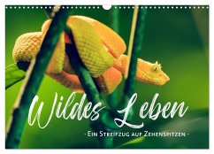 Wildes Leben - Ein Streifzug auf Zehenspitzen (Wandkalender 2025 DIN A3 quer), CALVENDO Monatskalender - Calvendo;Schlichter, Sonja