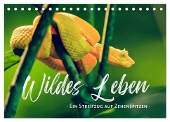 Wildes Leben - Ein Streifzug auf Zehenspitzen (Tischkalender 2025 DIN A5 quer), CALVENDO Monatskalender