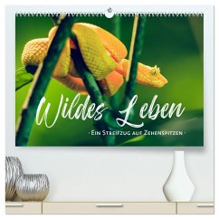 Wildes Leben - Ein Streifzug auf Zehenspitzen (hochwertiger Premium Wandkalender 2025 DIN A2 quer), Kunstdruck in Hochglanz
