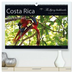 Costa Rica Blickwinkel 2025 (hochwertiger Premium Wandkalender 2025 DIN A2 quer), Kunstdruck in Hochglanz - Calvendo;flying bushhawks, The