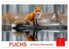 Fuchs - schöne Momente (Wandkalender 2025 DIN A2 quer), CALVENDO Monatskalender