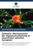 Schmerz: Mechanismen der Signalverarbeitung in neuronalen spinalen Synapsen