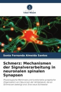 Schmerz: Mechanismen der Signalverarbeitung in neuronalen spinalen Synapsen - Almeida Santos, Sónia Fernanda