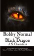 Bobby Normal and the Black Dragon - Bild 1