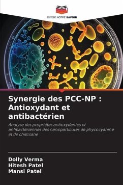Synergie des PCC-NP : Antioxydant et antibactérien - Verma, Dolly;Patel, Hitesh;Patel, Mansi