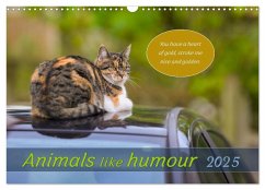 Animals like humour (Wall Calendar 2025 DIN A3 landscape), CALVENDO 12 Month Wall Calendar - Plett, Rainer