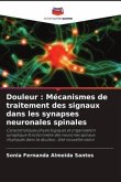 Douleur : Mécanismes de traitement des signaux dans les synapses neuronales spinales