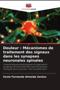 Douleur : Mécanismes de traitement des signaux dans les synapses neuronales spinales - Almeida Santos, Sónia Fernanda