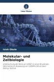 Molekular- und Zellbiologie