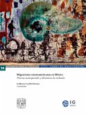 Migraciones centroamericanas en México. Procesos socioespaciales y dinámicas de exclusión (eBook, ePUB)