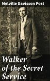 Walker of the Secret Service (eBook, ePUB)