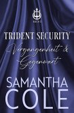 Trident Security: Vergangenheit & Gegenwart (eBook, ePUB)