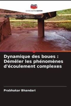 Dynamique des boues : Démêler les phénomènes d'écoulement complexes - Bhandari, Prabhakar