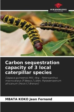 Carbon sequestration capacity of 3 local caterpillar species - Jean Fernand, MBATA KOKO