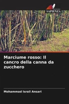 Marciume rosso: Il cancro della canna da zucchero - Ansari, Mohammad Israil