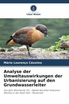 Analyse der Umweltauswirkungen der Urbanisierung auf den Grundwasserleiter - Cássimo, Mário Lourenço