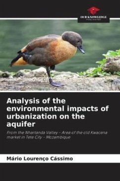 Analysis of the environmental impacts of urbanization on the aquifer - Cássimo, Mário Lourenço