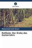 Rotfäule: Der Krebs des Zuckerrohrs