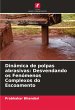 Dinâmica de polpas abrasivas:... - Bild 1