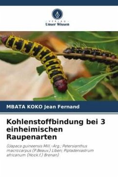 Kohlenstoffbindung bei 3 einheimischen Raupenarten - Jean Fernand, MBATA KOKO