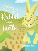 Counting A Star with Rabbit and Turtle