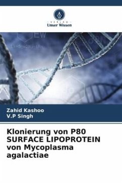 Klonierung von P80 SURFACE LIPOPROTEIN von Mycoplasma agalactiae - Kashoo, Zahid;Singh, V.P