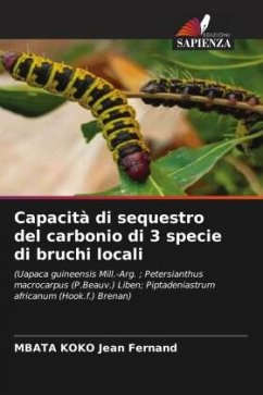 Capacità di sequestro del carbonio di 3 specie di bruchi locali - Jean Fernand, MBATA KOKO