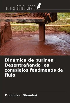 Cover Dinámica de purines: Desentrañando los complejos fenómenos de flujo